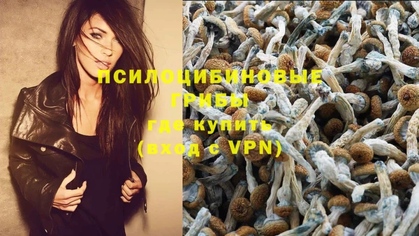 хмурый Липки