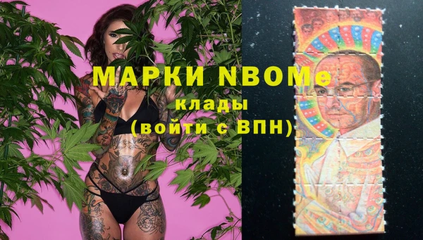 шишки Ладушкин