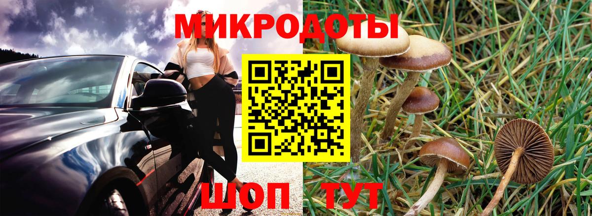 Галлюциногенные грибы ЛСД  Псилоцибиновые грибы GOLDEN TEACHER  Можайск 