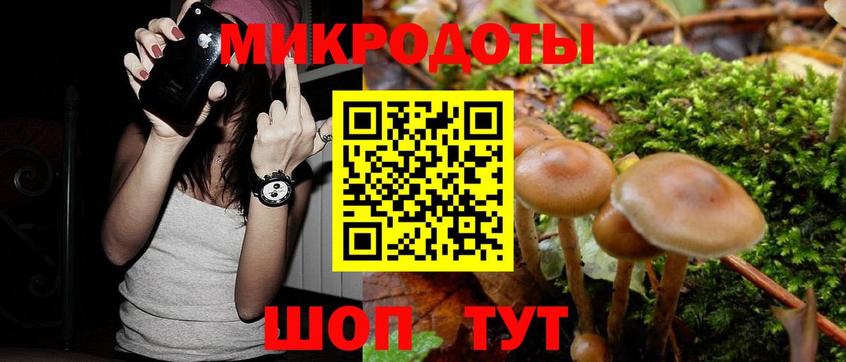Галлюциногенные грибы Cubensis Можайск
